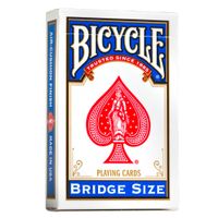 10015489_Bicycle_Bridge-Blue_Hero000469