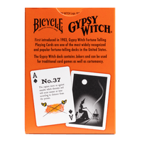 _Bicycle_Gypsy-Witch_Back